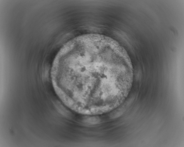 X0000113310185200910131115