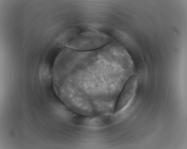 X0000113310186200910131115
