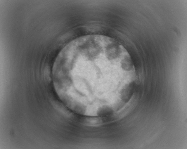 X0000113310187200910131115