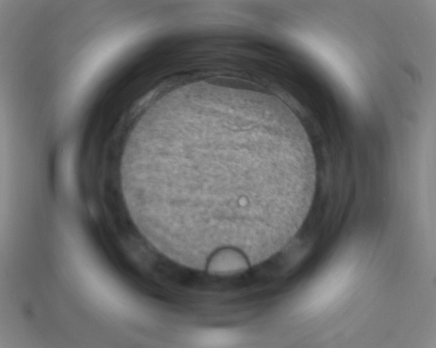 X0000113310189200910131115