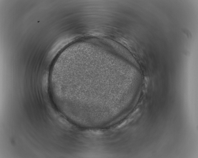 X0000113310194200910131115