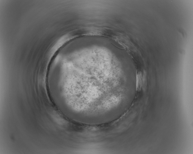 X0000113310195200910131115