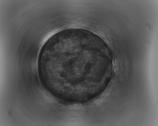 X0000113310196200910131115