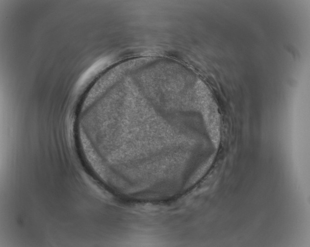 X0000113310197200910131115