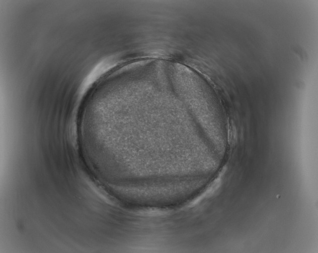 X0000113310198200910131115