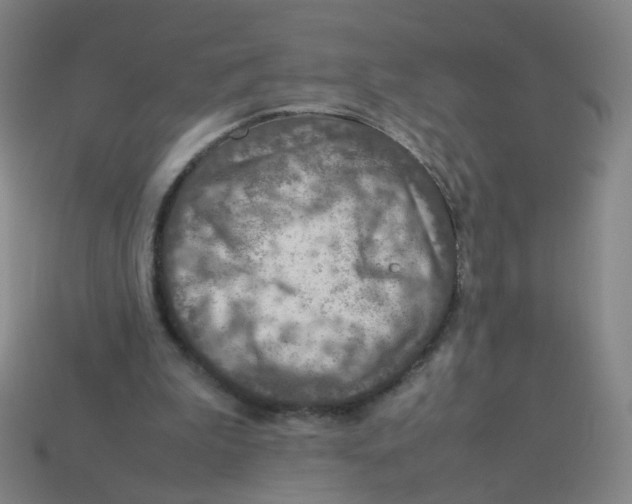 X0000113310199200910131115