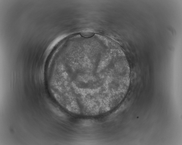 X0000113310200200910131115