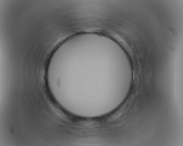 X0000113310201200910131115