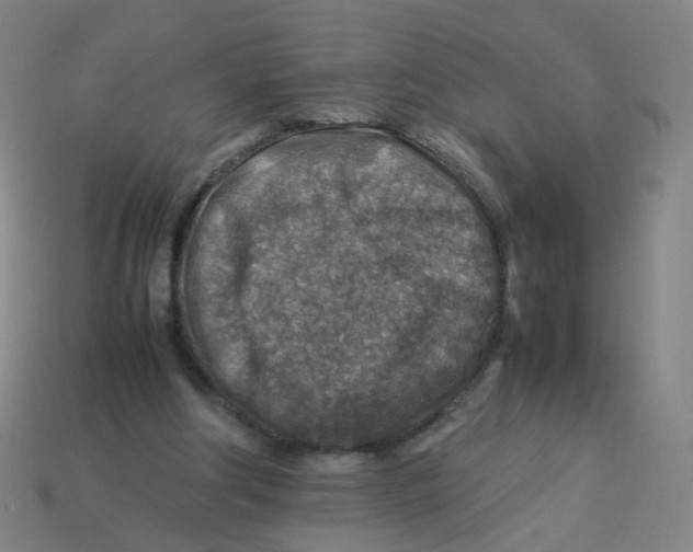 X0000113310202200910131115