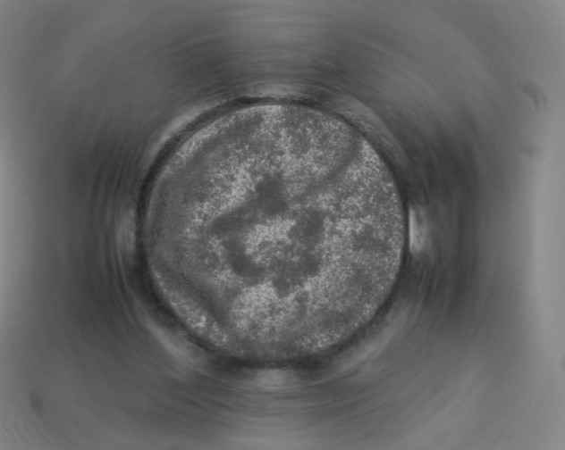 X0000113310204200910131114