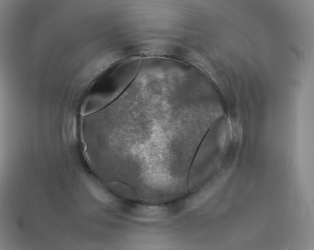 X0000113310205200910131114