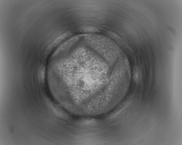 X0000113310206200910131114