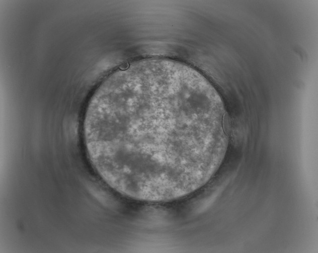 X0000113310207200910131114
