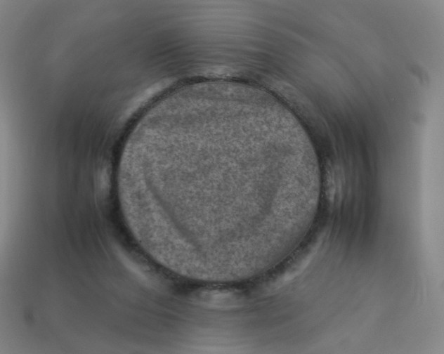 X0000113310208200910131114