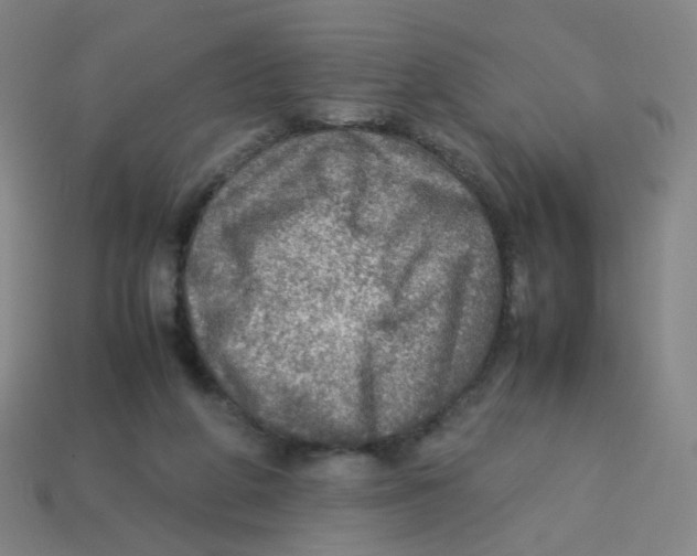 X0000113310210200910131114