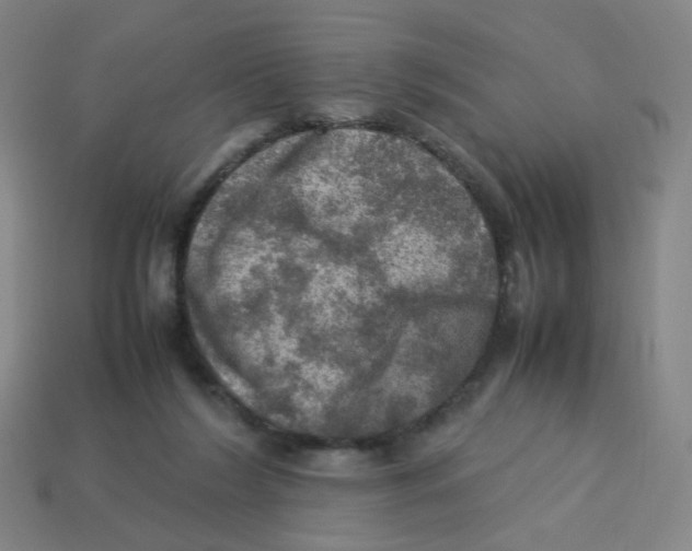 X0000113310212200910131114