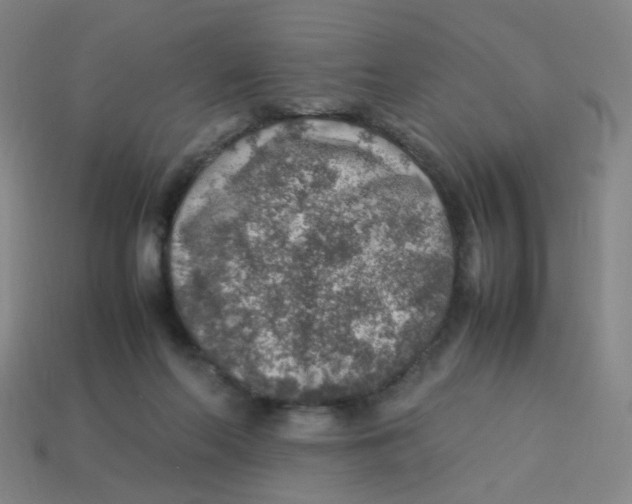 X0000113310214200910131114