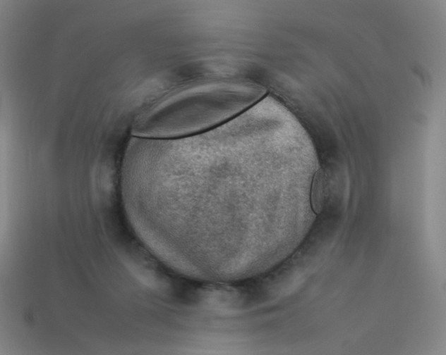 X0000113310215200910131114