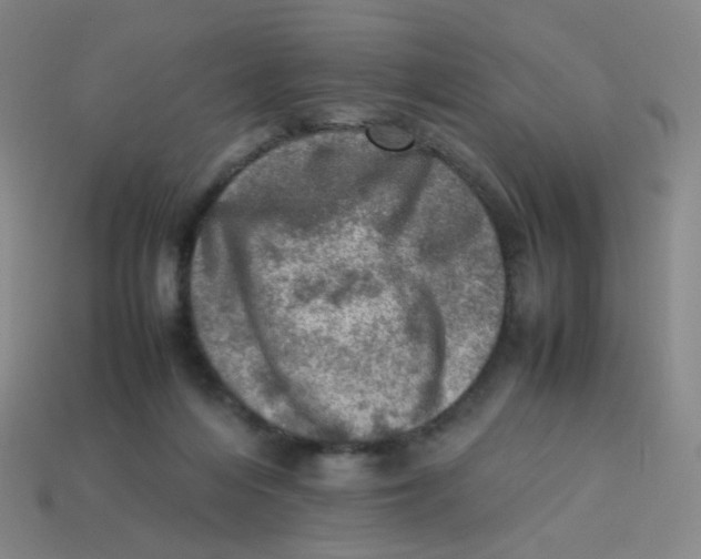 X0000113310216200910131114