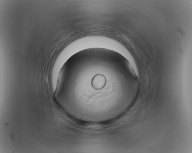X0000113310217200910131114