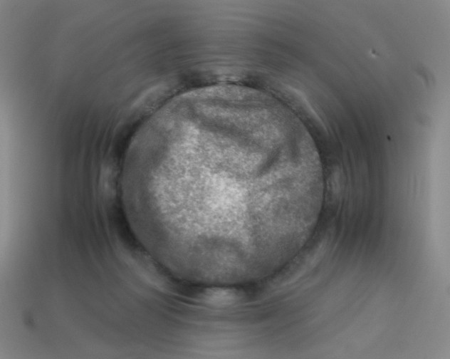 X0000113310218200910131114