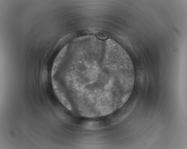 X0000113310220200910131114