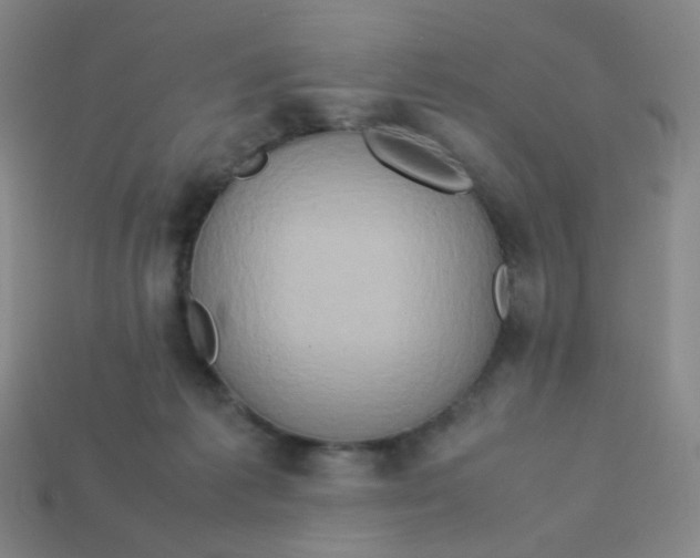 X0000113310221200910131114
