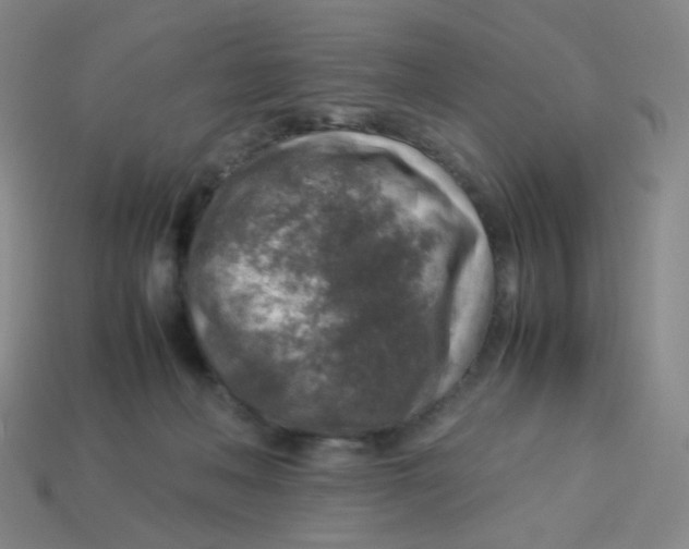 X0000113310222200910131114