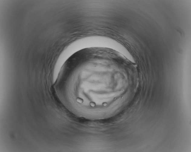 X0000113310223200910131114