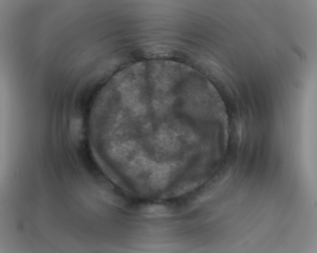 X0000113310224200910131114