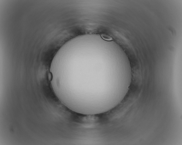 X0000113310225200910131114