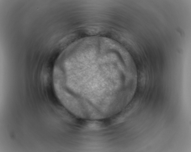 X0000113310226200910131114