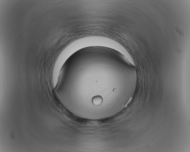 X0000113310227200910131114
