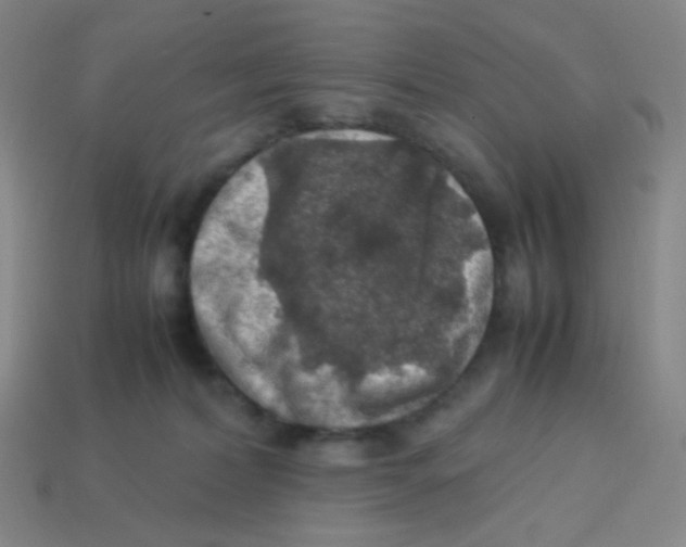 X0000113310228200910131114