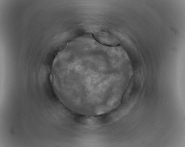 X0000113310229200910131114