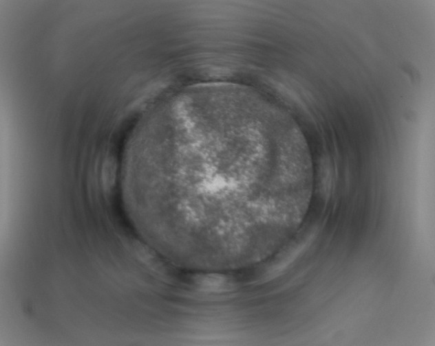 X0000113310230200910131114