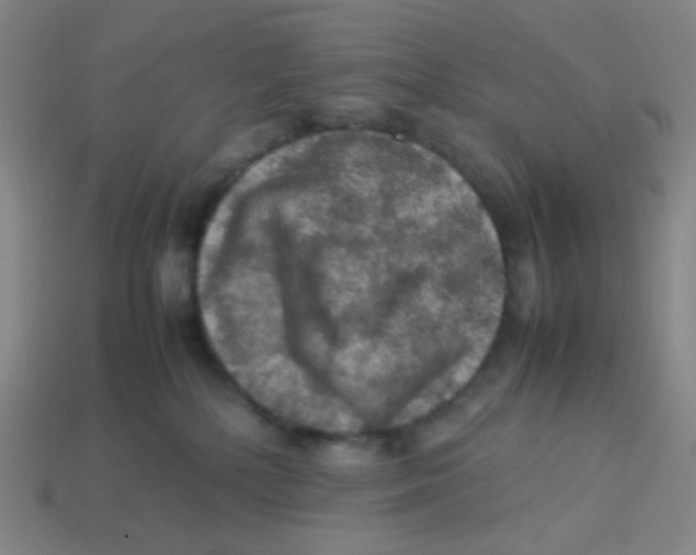 X0000113310232200910131114