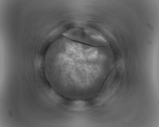 X0000113310233200910131114