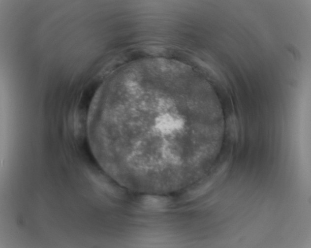 X0000113310234200910131114