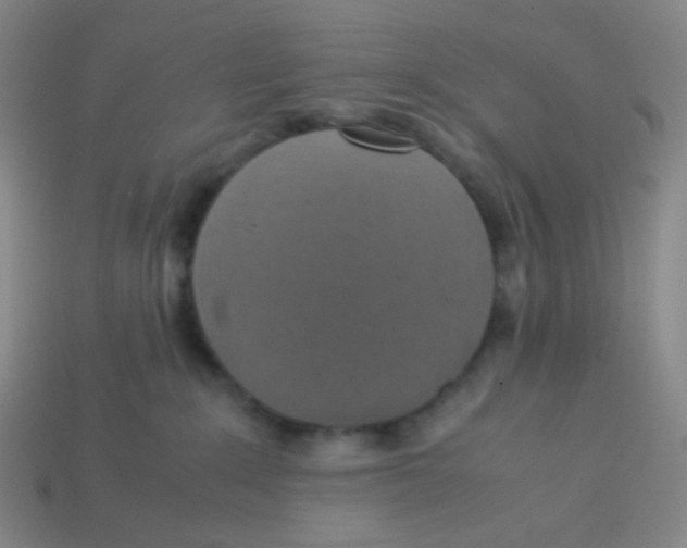X0000113310235200910131114