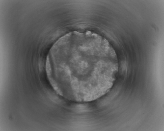 X0000113310236200910131114