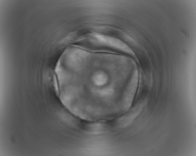 X0000113310237200910131114