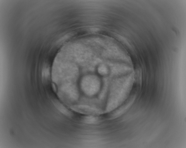X0000113310238200910131114