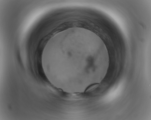 X0000113310239200910131114