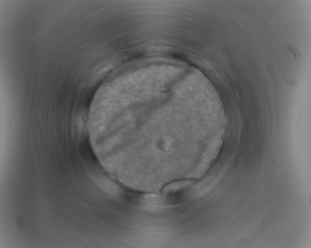 X0000113310240200910131114