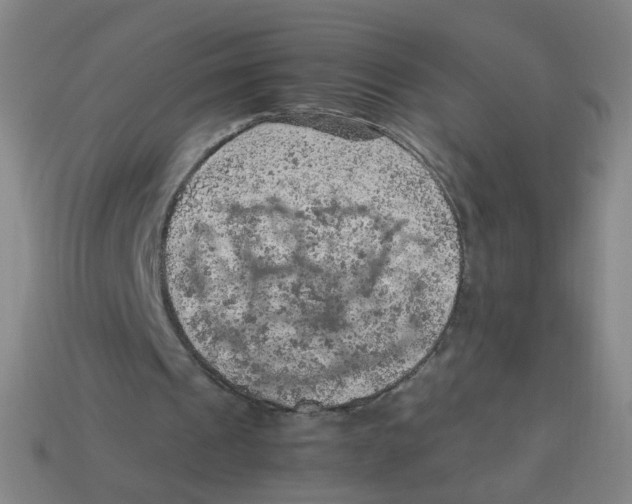 X0000113310241200910131113
