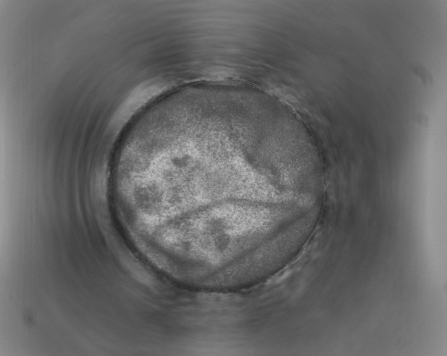 X0000113310242200910131113