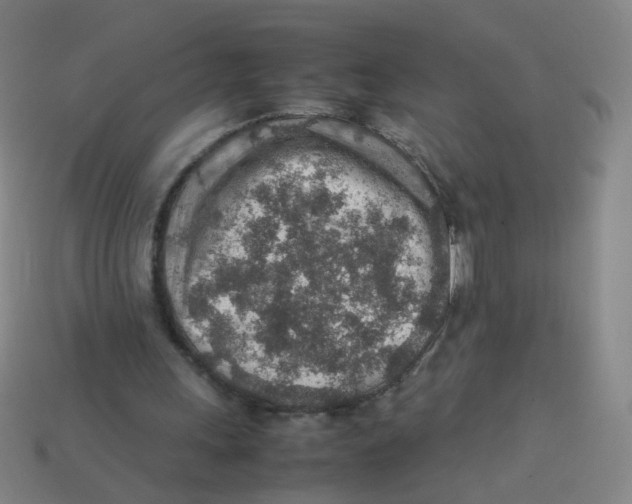 X0000113310243200910131113