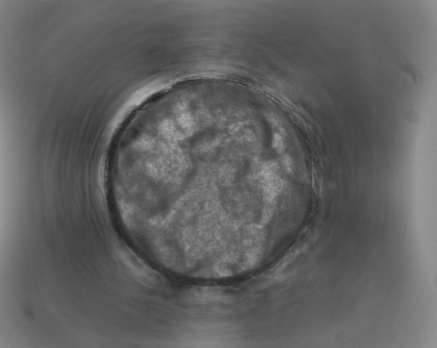 X0000113310244200910131113