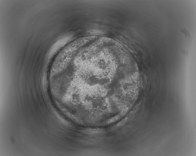 X0000113310245200910131113
